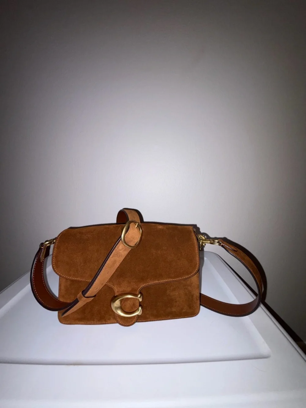 Coach Warm Brown Suede Chain Tabby Bag with Gold Hardware - Picture 5 of 6